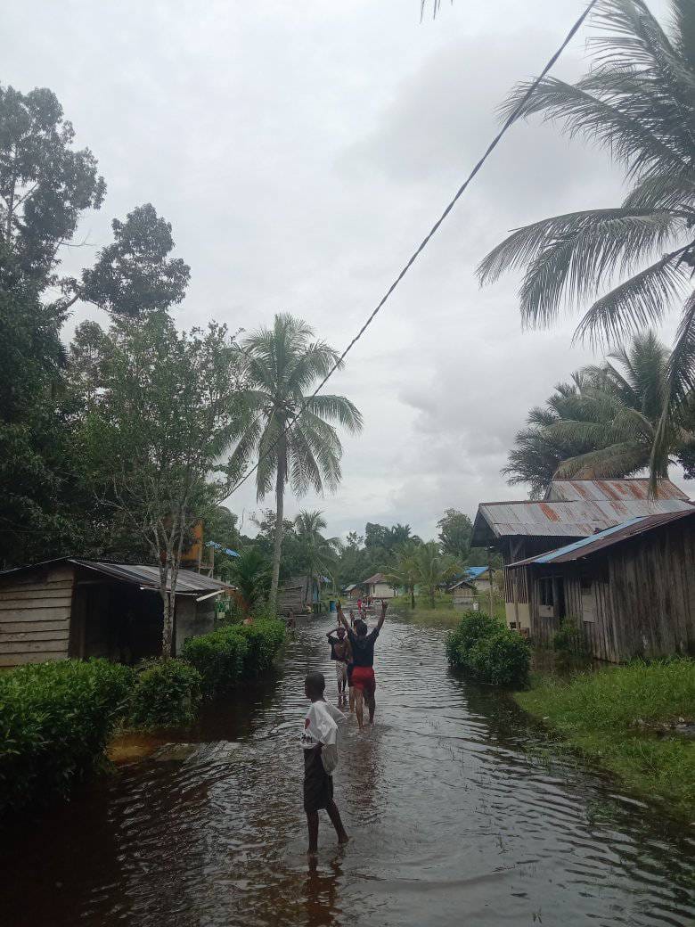 Image of Indonesia, Flooding in Sorong Selatan Regency (West Papua)