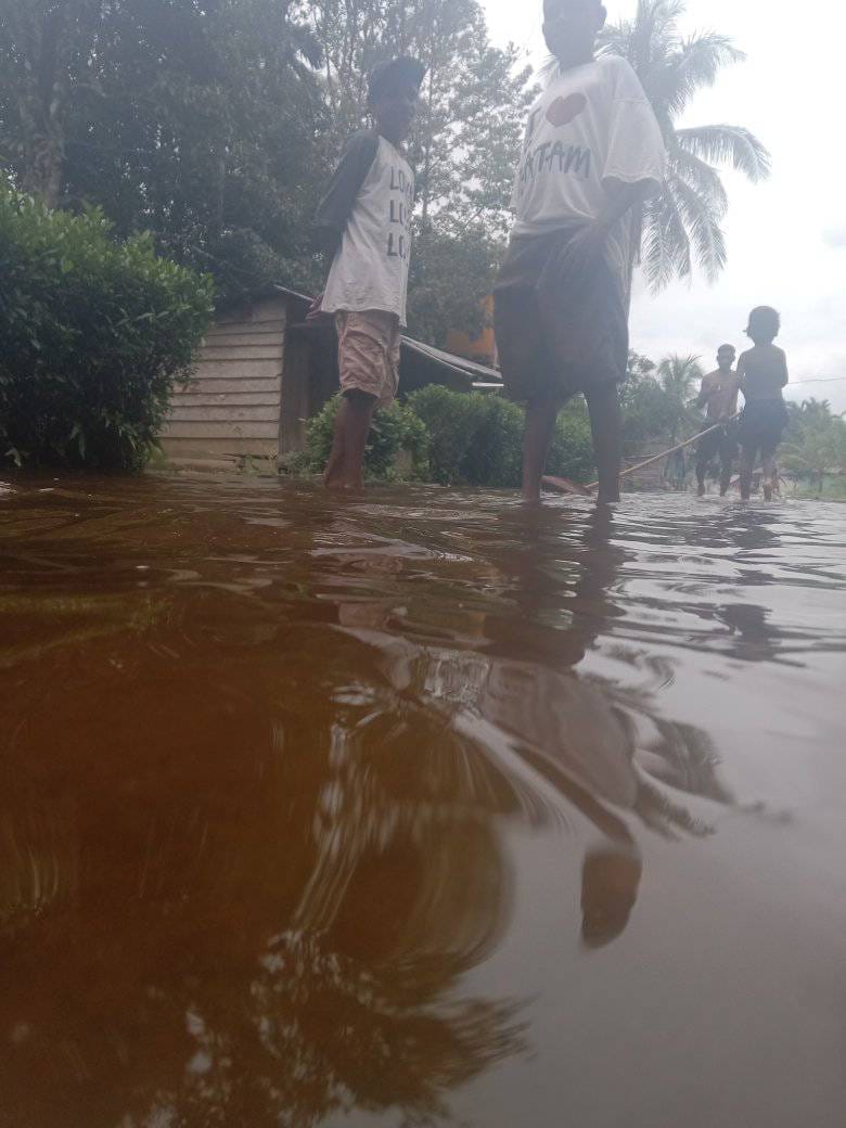 Image of Indonesia, Flooding in Sorong Selatan Regency (West Papua)