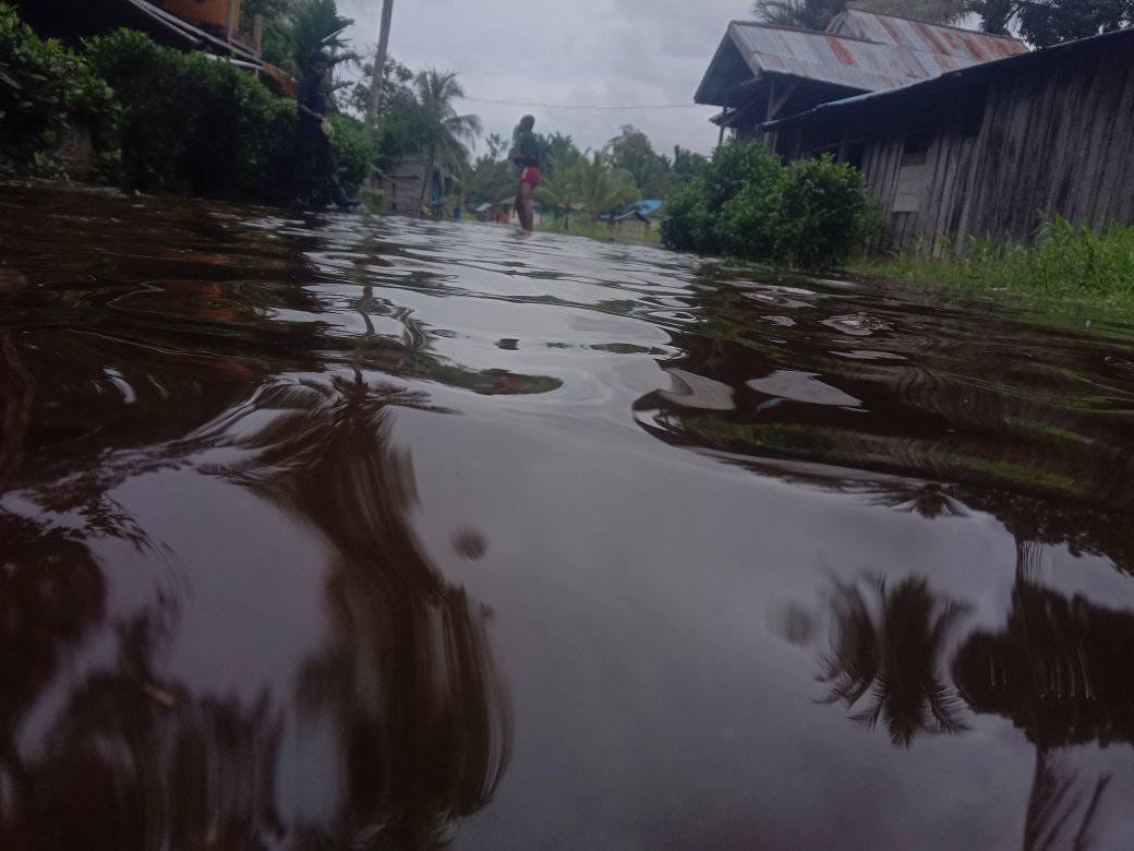 Image of Indonesia, Flooding in Sorong Selatan Regency (West Papua)