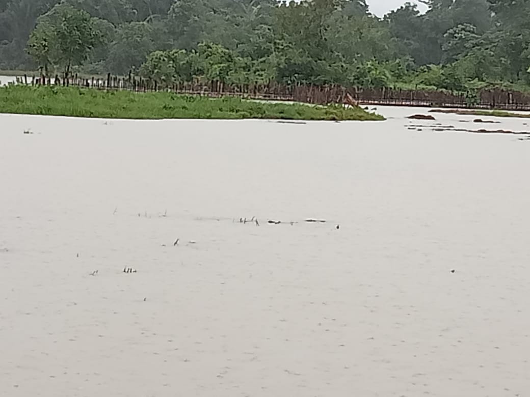 Image of Indonesia, Flooding and Landslide in Simeulue Regency (Aceh)