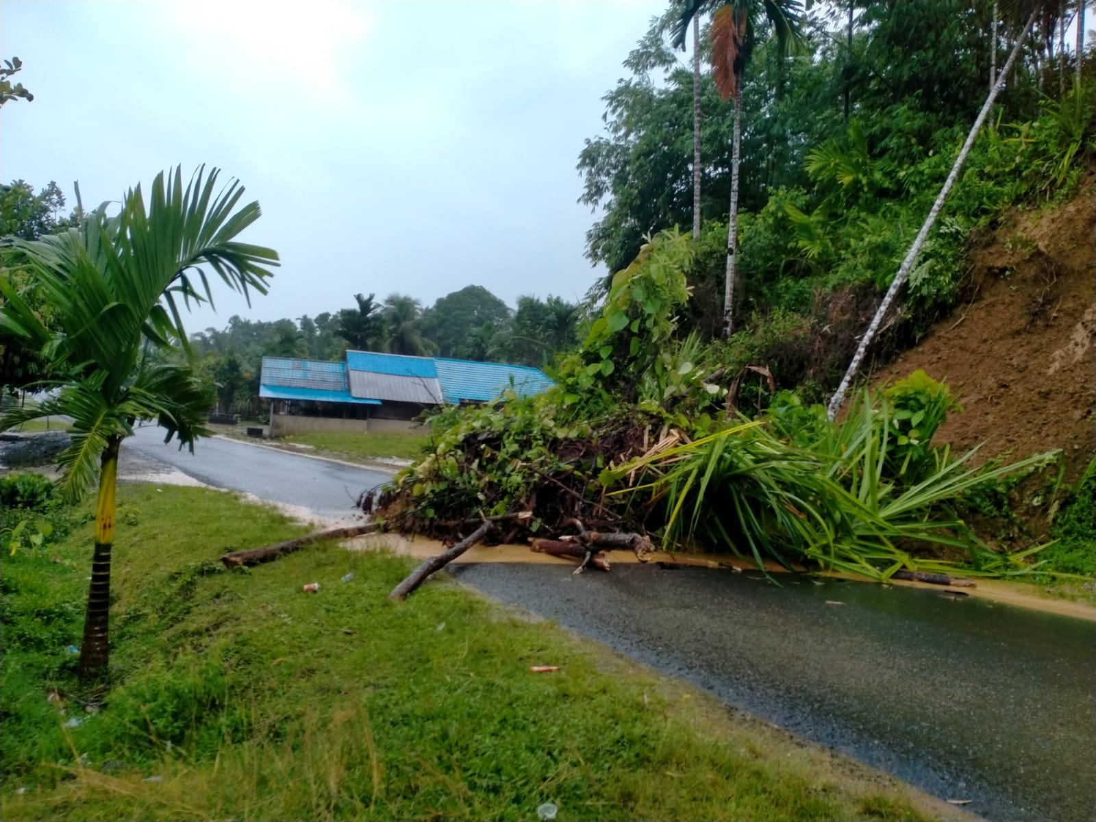 Image of Indonesia, Flooding and Landslide in Simeulue Regency (Aceh)