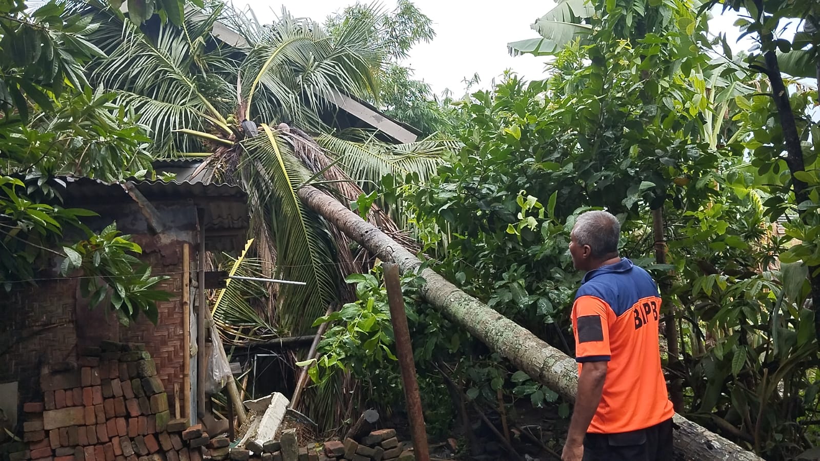 Image of Indonesia, Tornado in Lombok Tengah (West Nusa Tenggara)