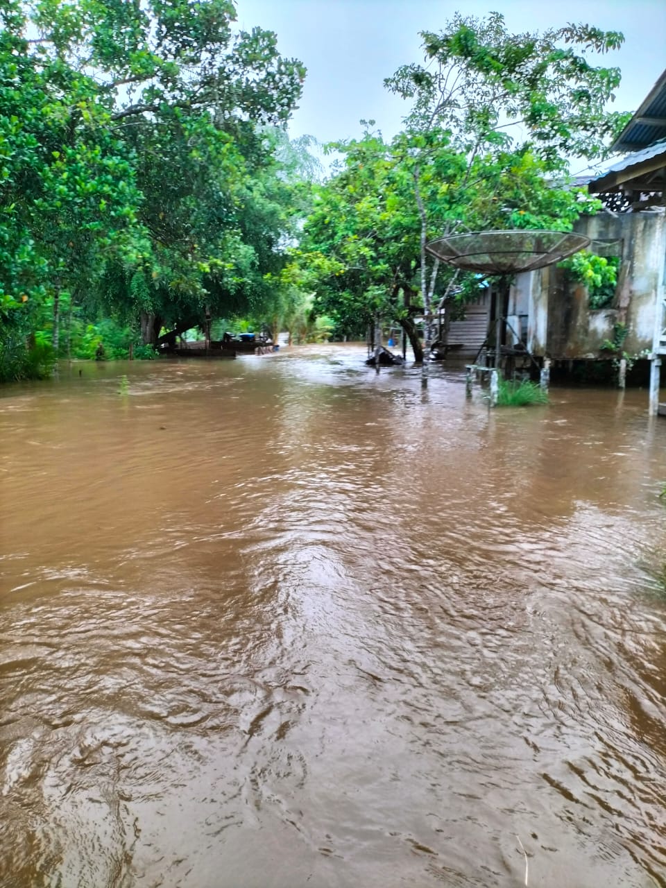 Image of Indonesia, Flooding in Melawi (West Kalimantan)