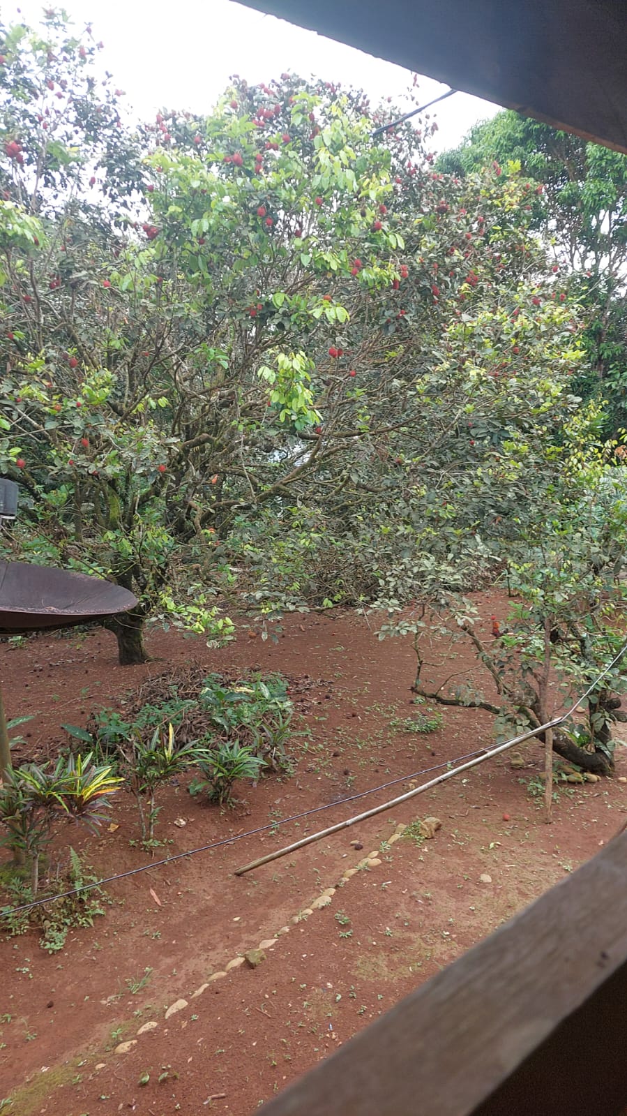Image of Indonesia, Landslide in Sinjai (South Sulawesi)