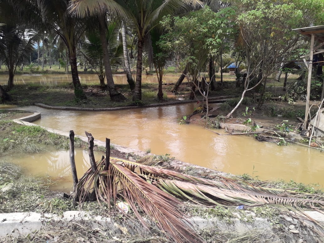Image of Indonesia, Floods in Mandailing Natal (North Sumatra)
